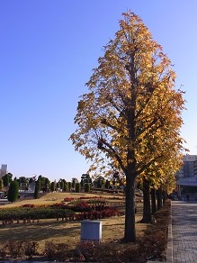 f0361027_18202037.jpg