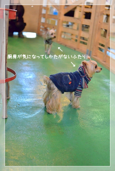 d0179828_00133025.png