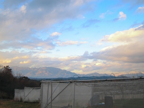 d0336530_19073935.jpg