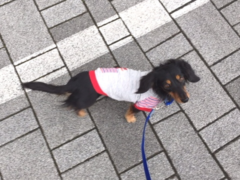 c0117831_16141659.jpg