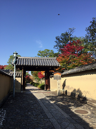 京都紅葉散歩2016_b0035734_1744736.jpg