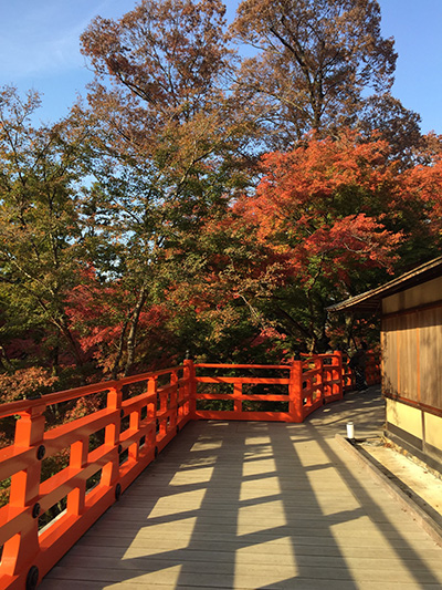 京都紅葉散歩2016_b0035734_179451.jpg