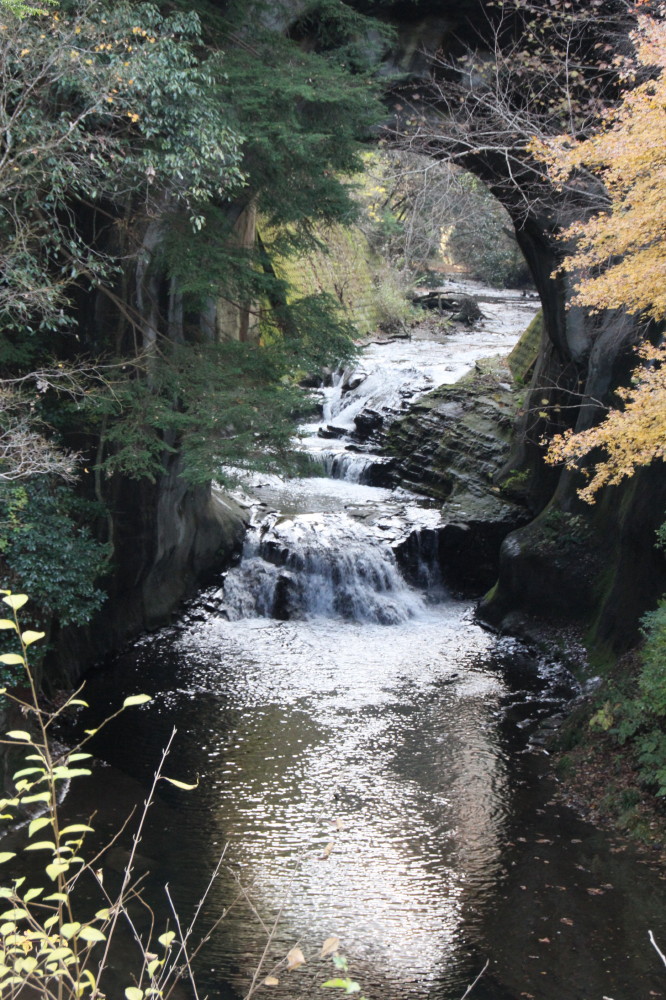 濃溝の滝と亀山湖の紅葉_a0266538_863046.jpg