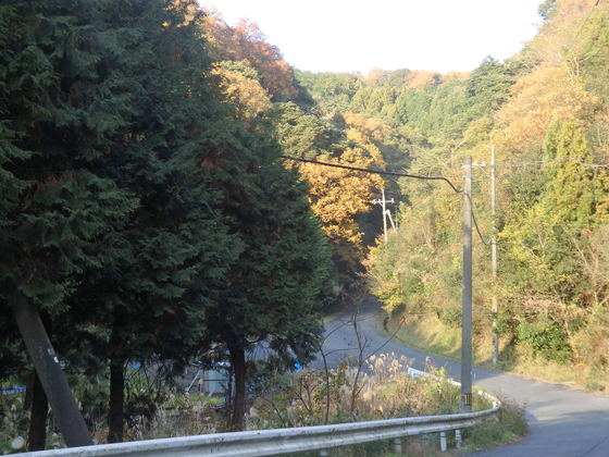 a0054240_22381175.jpg