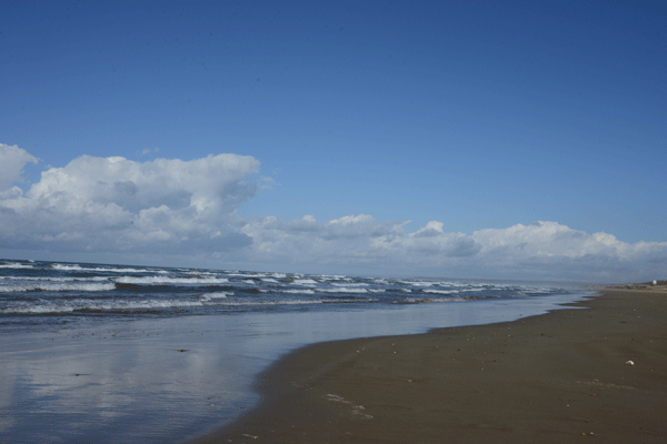 d0000952_22242342.gif