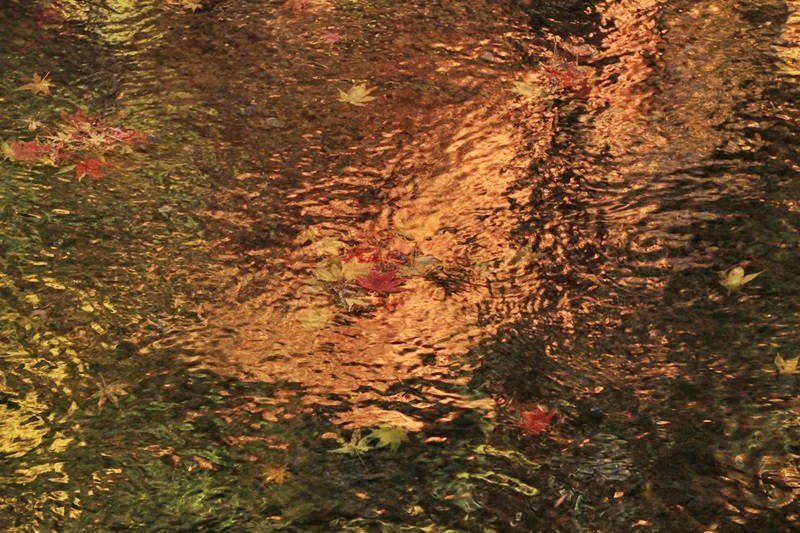 a0167759_15501998.jpg