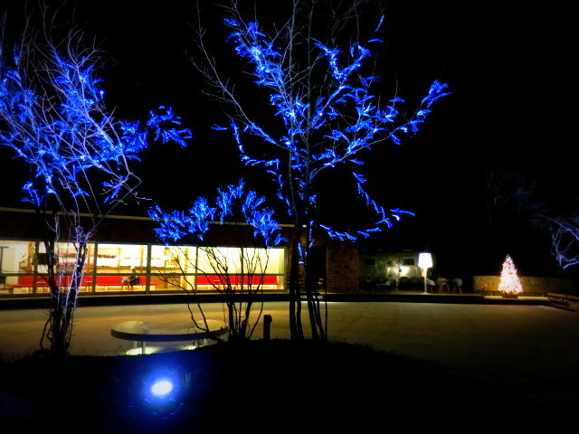 f0236260_04462183.jpg