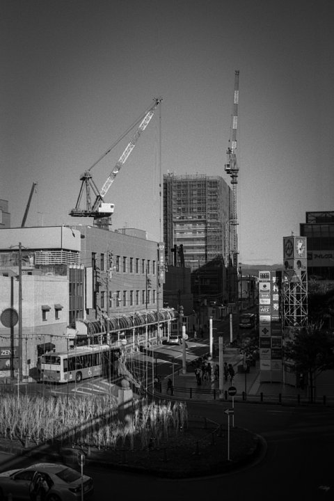 b0175964_744116.jpg