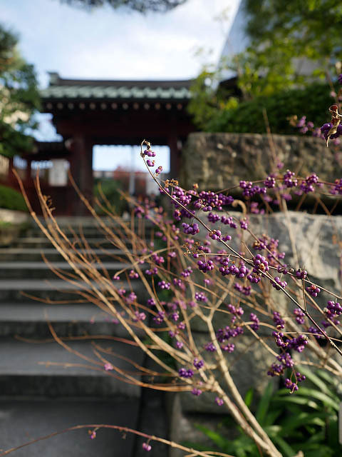 f0199866_20142878.jpg