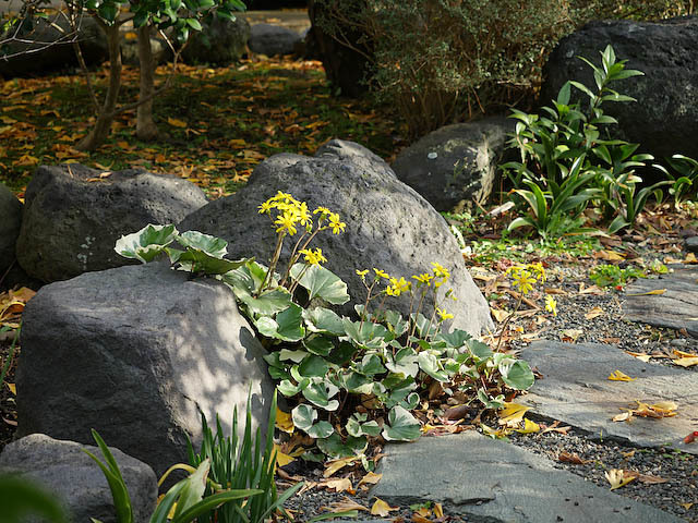 f0199866_20150651.jpg