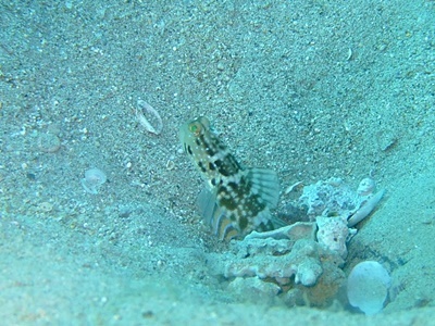 b0033573_22000466.jpg
