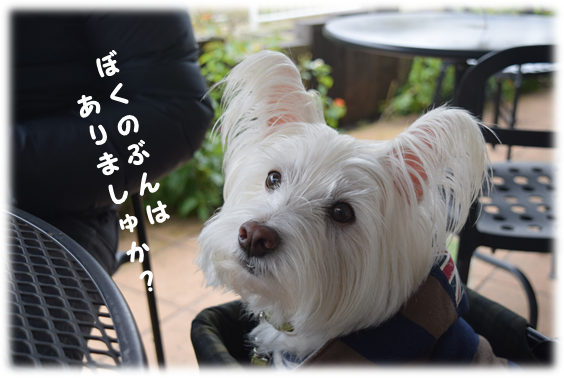 b0242873_00103091.png