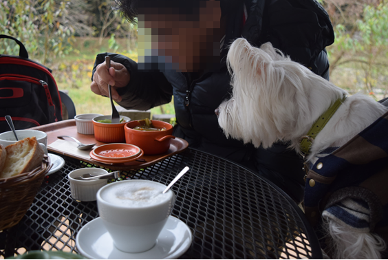 b0242873_00244568.png
