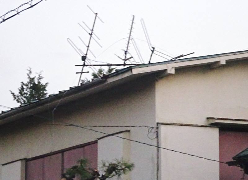 f0059673_17060256.jpg