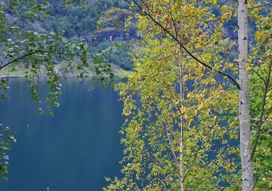 b0346378_21294492.jpg