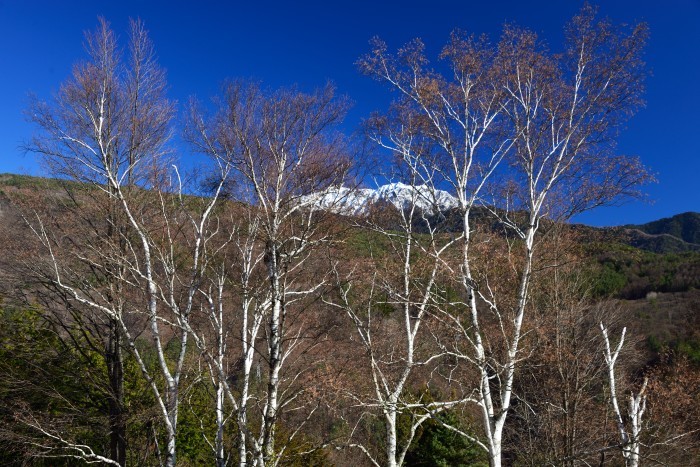 平家の里_d0341880_08101493.jpg
