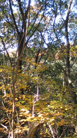 e0024081_19281722.jpg