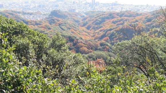 e0024081_19341727.jpg