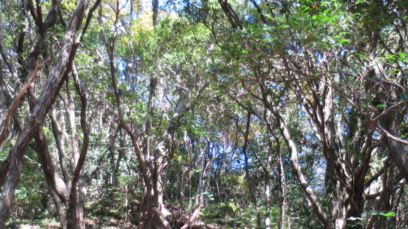 e0024081_19370533.jpg