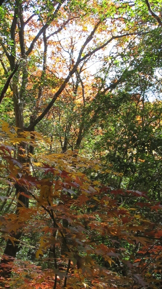e0024081_19391306.jpg