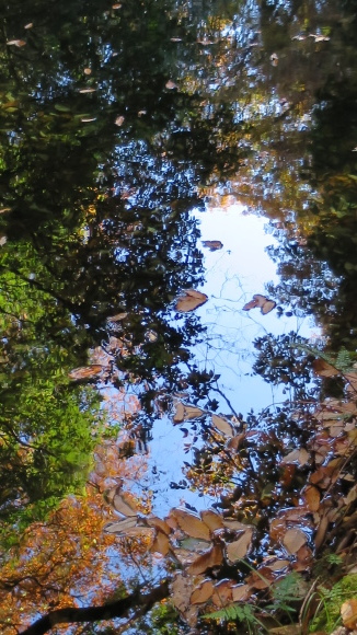 e0024081_19415050.jpg