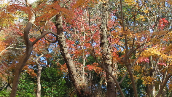 e0024081_19482246.jpg