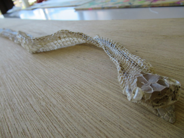 e0253482_23303724.jpg