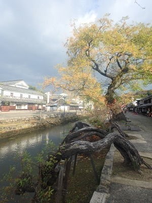 倉敷市へ_d0195183_873228.jpg
