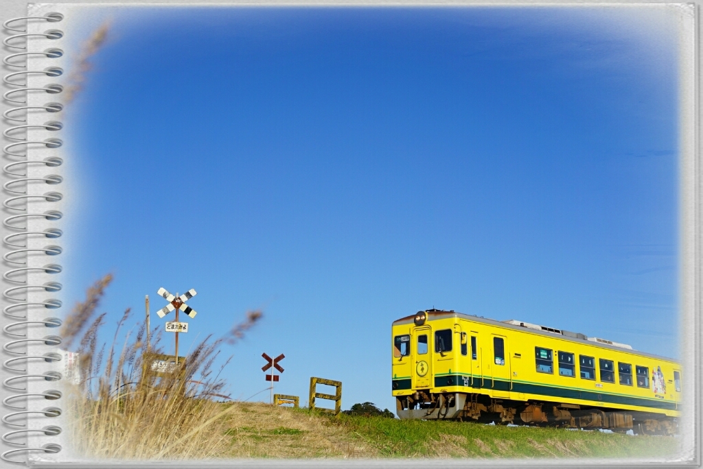 d0341483_05342554.jpg