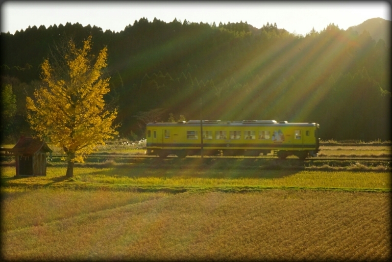 d0341483_05342777.jpg