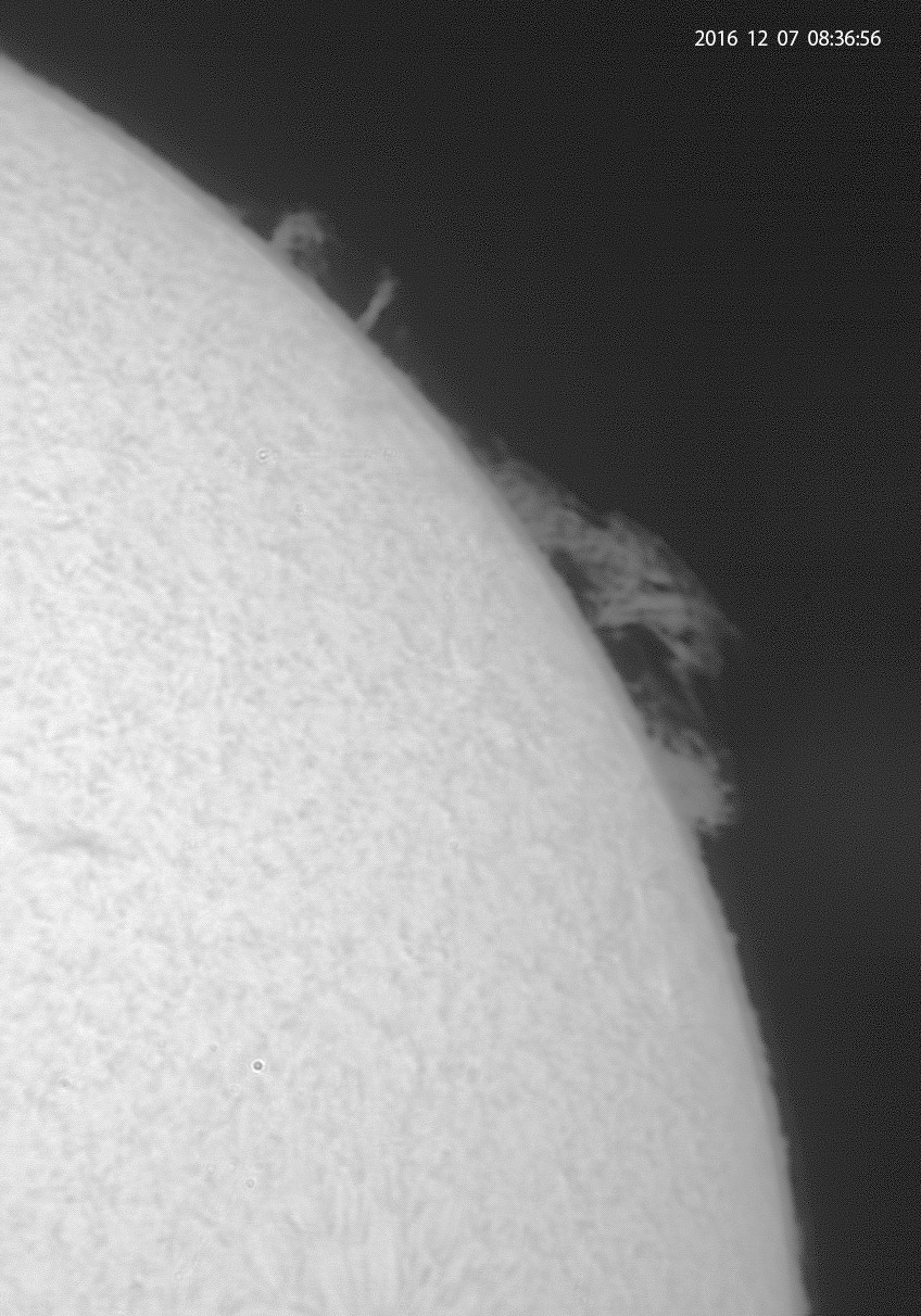 12月7日の太陽_e0174091_22175944.jpg