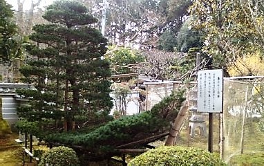 大根焚き：三宝寺_b0205694_22332039.jpg