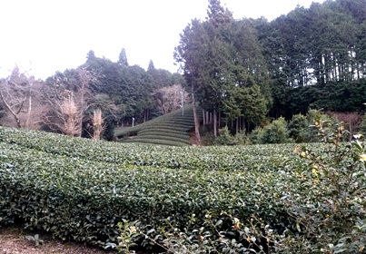 a0236300_22552857.jpg