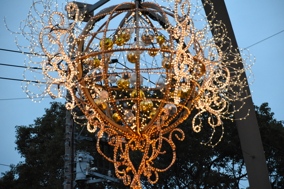 a0288500_16383582.jpg