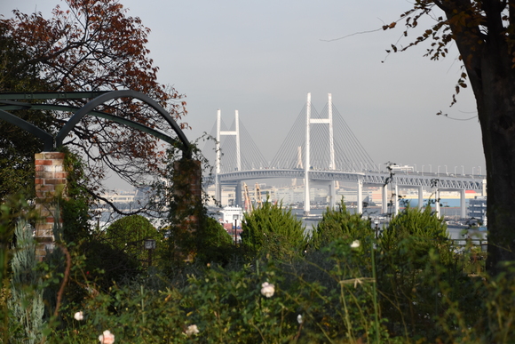 a0288500_17371651.jpg