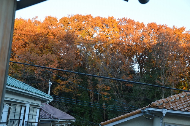 c0124100_0205426.jpg