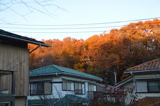 c0124100_021725.jpg