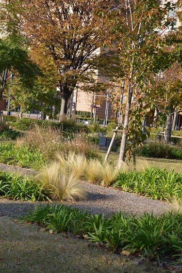 c0124100_17244347.jpg