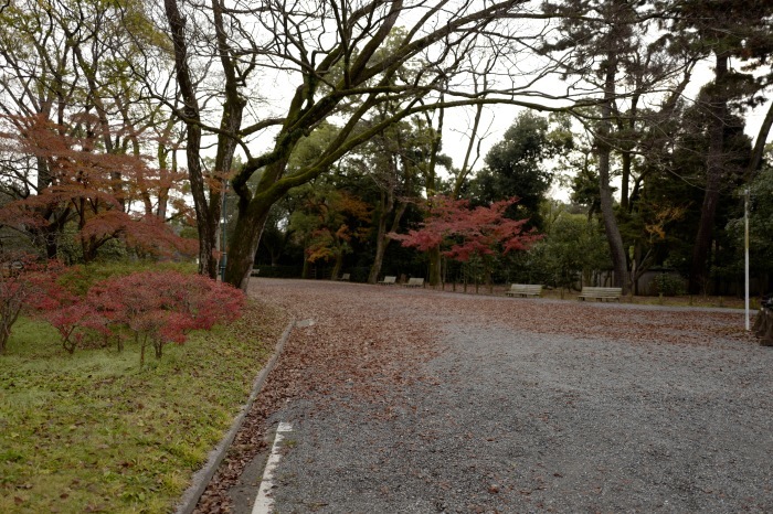 京都 12月 独り歩き (4)_f0316201_14161976.jpg