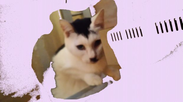むっちゃんピコってみた!_f0242002_23393132.jpg