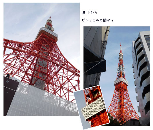 年末ウォーキングと忘年会_c0051105_11584043.jpg
