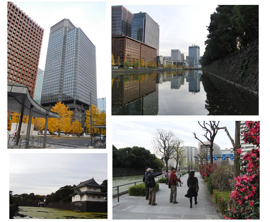 年末ウォーキングと忘年会_c0051105_13392140.jpg