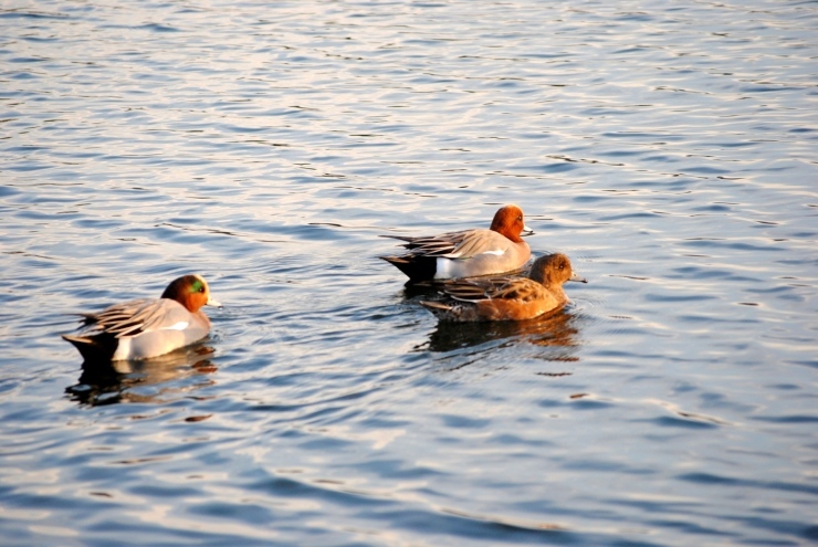 f0361605_20421827.jpg
