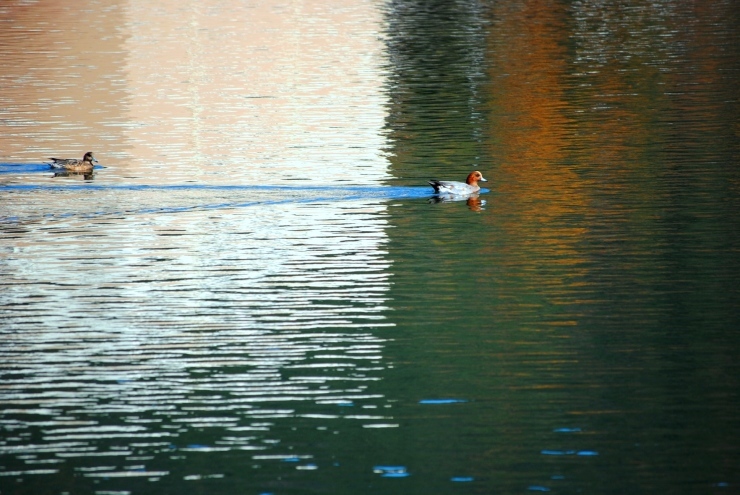 f0361605_20512485.jpg