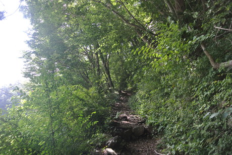 c0242406_16224740.jpg