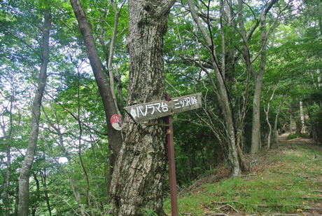 c0242406_1627356.jpg