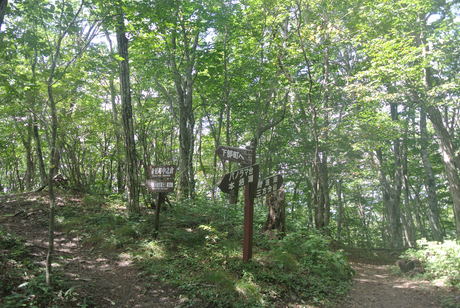 c0242406_16563069.jpg