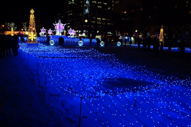 2016年12月7 日(水)　冬の夜のきらめき（１） 大通公園_a0345007_1024834.jpg