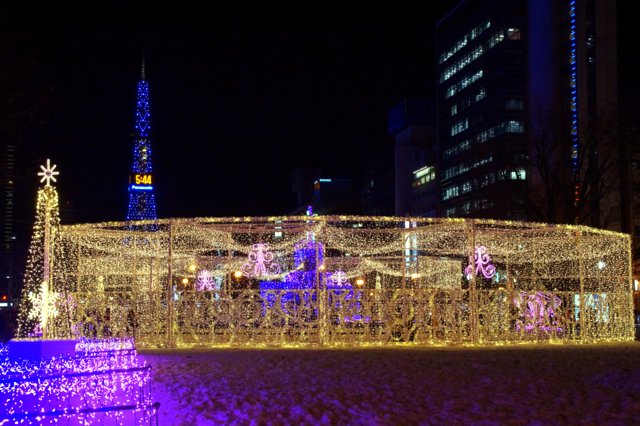 2016年12月7 日(水)　冬の夜のきらめき（１） 大通公園_a0345007_1064644.jpg