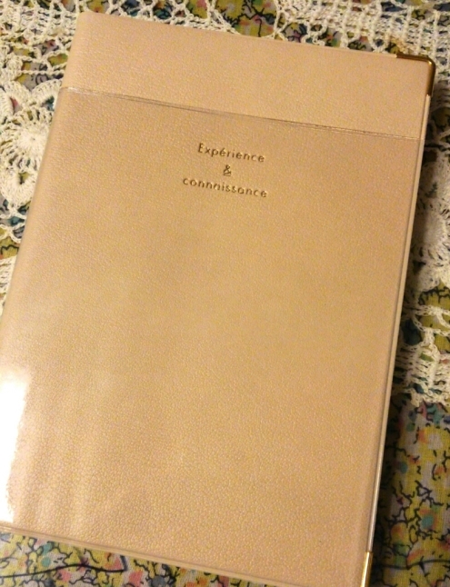 2017年の新しい手帳を買うのにふさわしい日～2017年5月広島かさこ塾フェスタへスタート！_c0016208_23075129.jpg